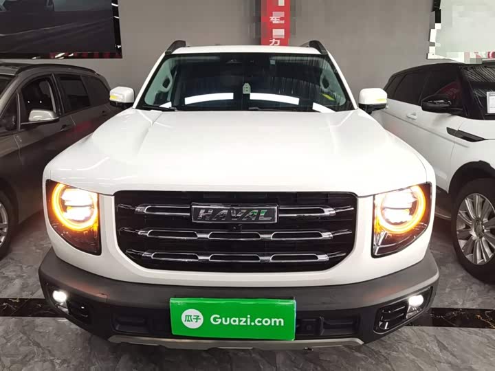 Фото 3 - Haval Dargo