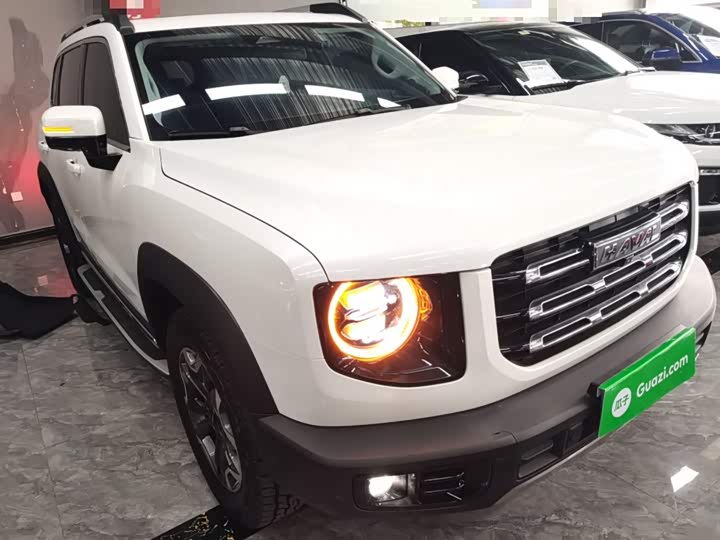 Фото 4 - Haval Dargo