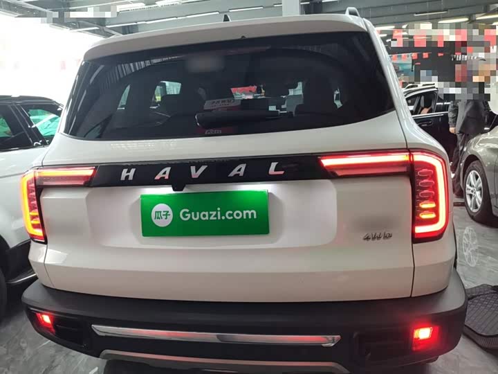 Фото 6 - Haval Dargo