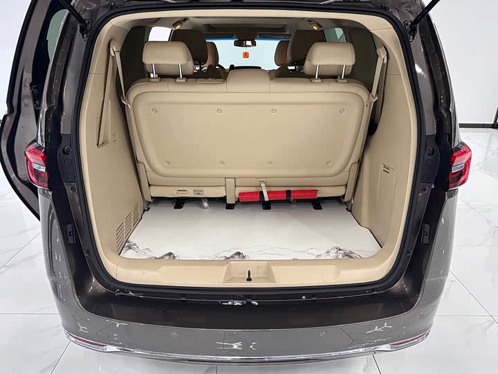 Фото 11 - Buick GL8 ES