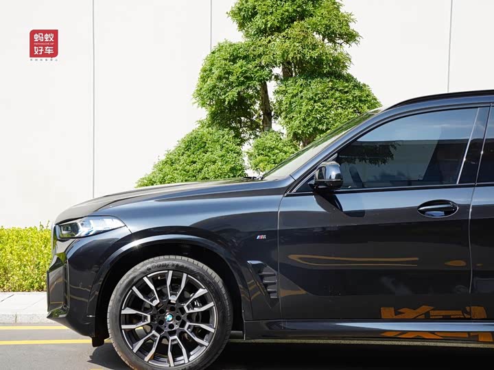 Фото 12 - BMW X5