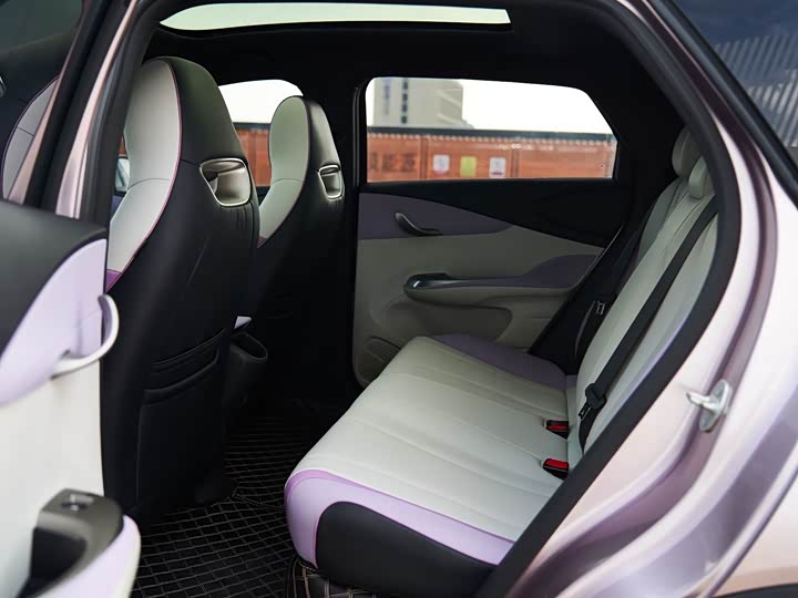 Фото 10 - BYD Dolphin