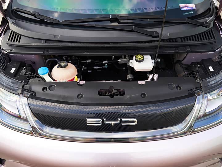 Фото 13 - BYD Dolphin