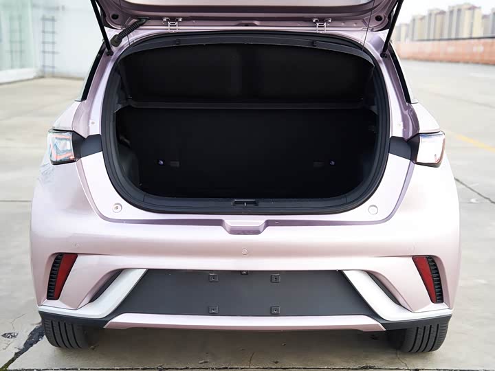 Фото 14 - BYD Dolphin