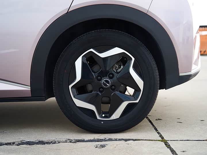 Фото 15 - BYD Dolphin