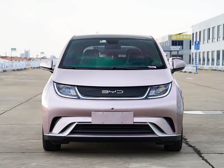 Фото 2 - BYD Dolphin