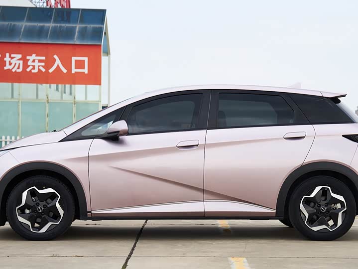 Фото 4 - BYD Dolphin