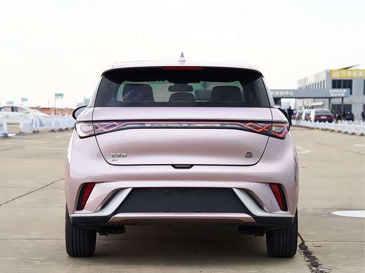 Фото 7 - BYD Dolphin