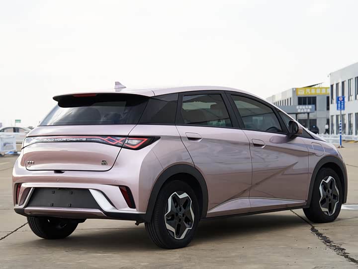 Фото 8 - BYD Dolphin