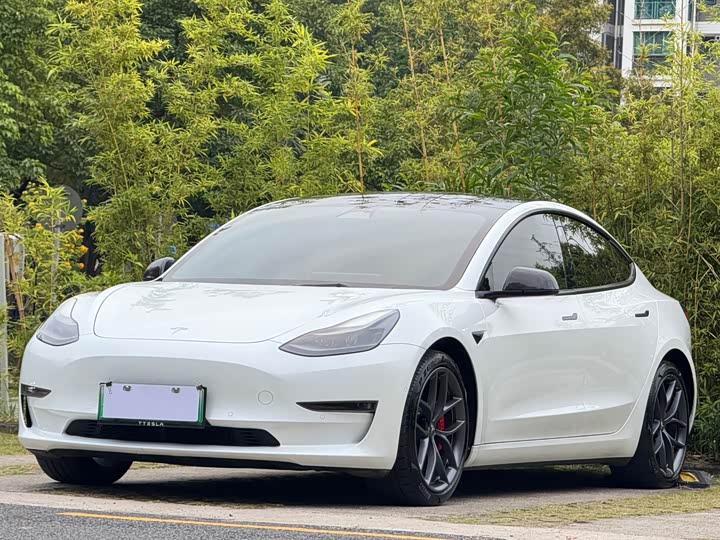 Фото 3 - Tesla Model 3