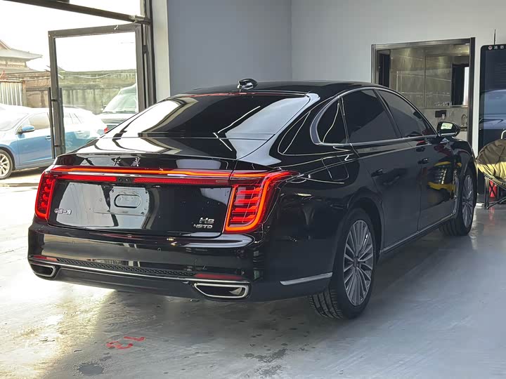 Фото 6 - Hongqi H9