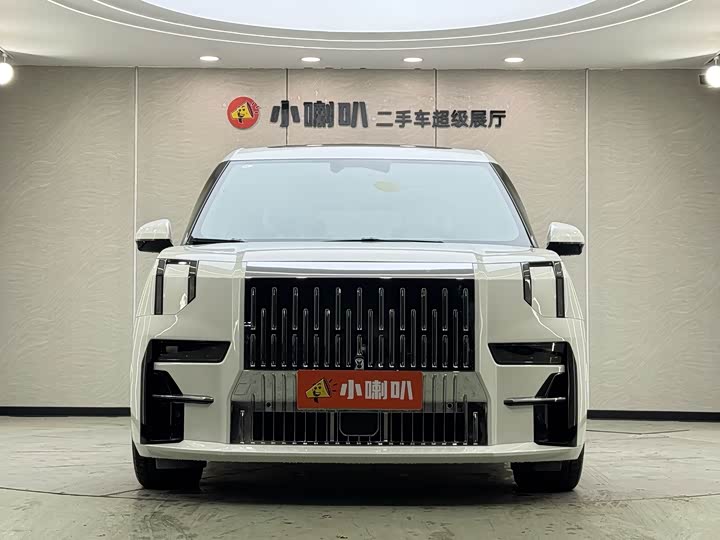 Фото 2 - Zeekr 009