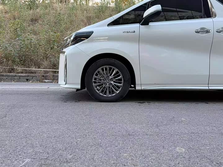 Фото 6 - Toyota Alphard