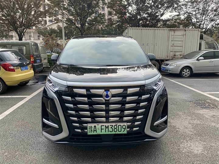 Фото 2 - Denza D9