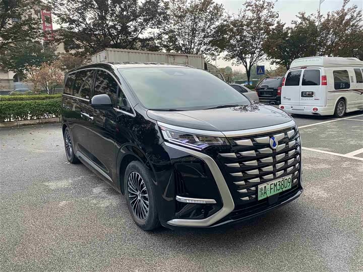 Фото 3 - Denza D9