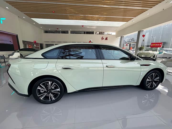 Фото 4 - Hongqi EH7