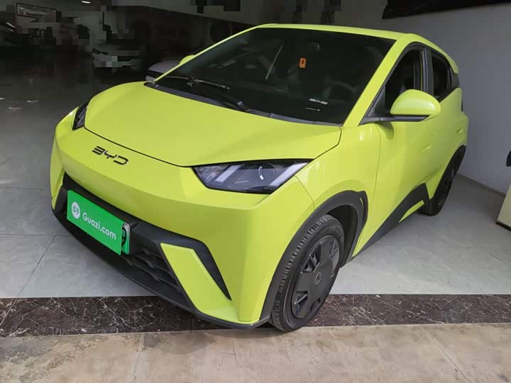 Фото 1 - BYD Seagull