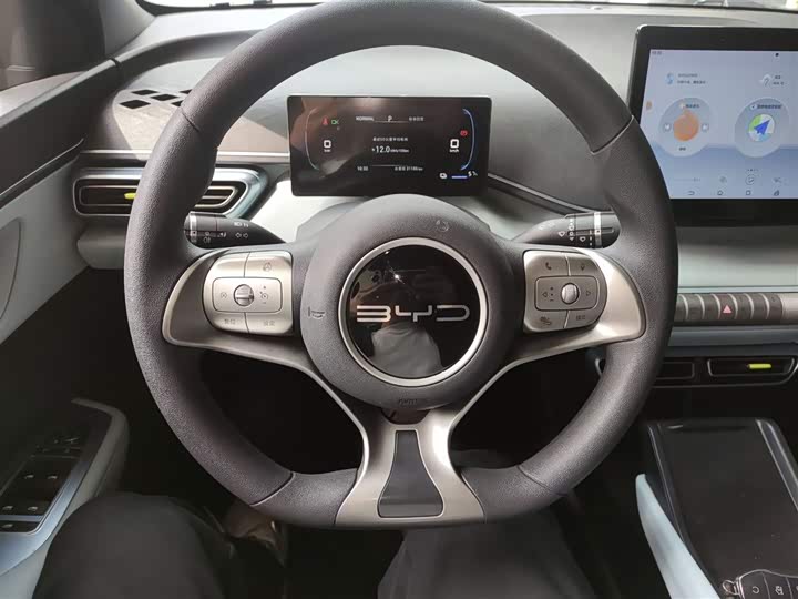 Фото 11 - BYD Seagull