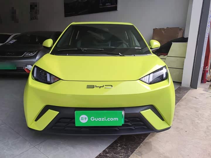 Фото 3 - BYD Seagull