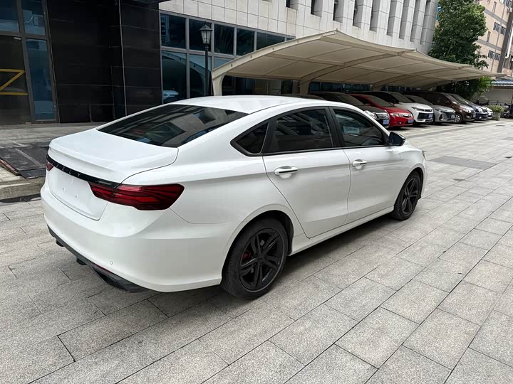 Фото 9 - Geely Binrui