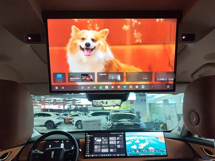 Фото 18 - Wey Lanshan