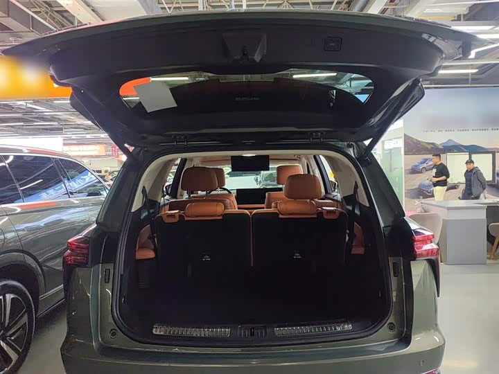 Фото 19 - Wey Lanshan