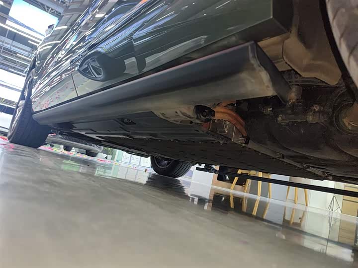 Фото 22 - Wey Lanshan