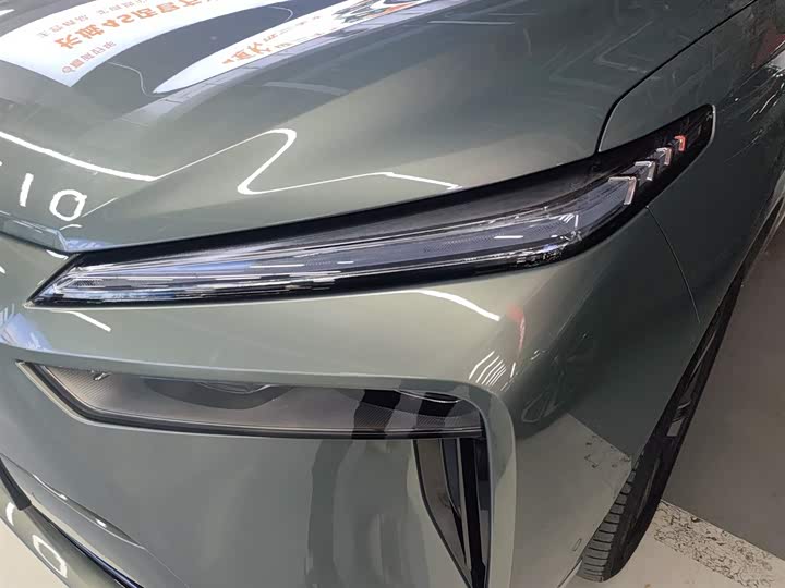 Фото 24 - Wey Lanshan