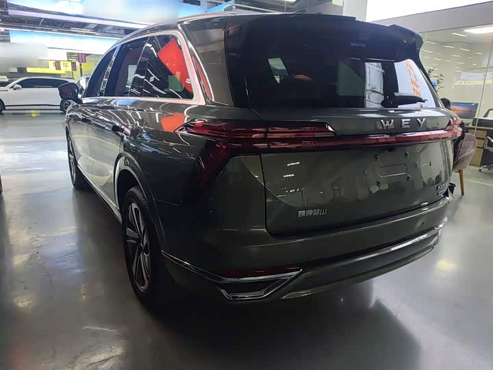 Фото 5 - Wey Lanshan