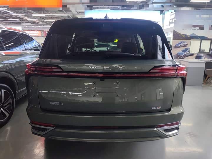 Фото 6 - Wey Lanshan