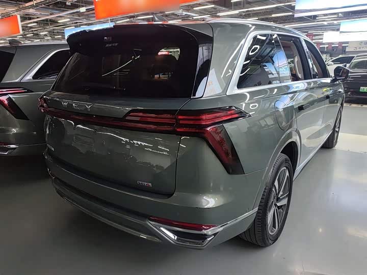 Фото 7 - Wey Lanshan