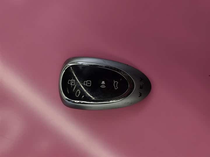 Фото 9 - Wey Lanshan