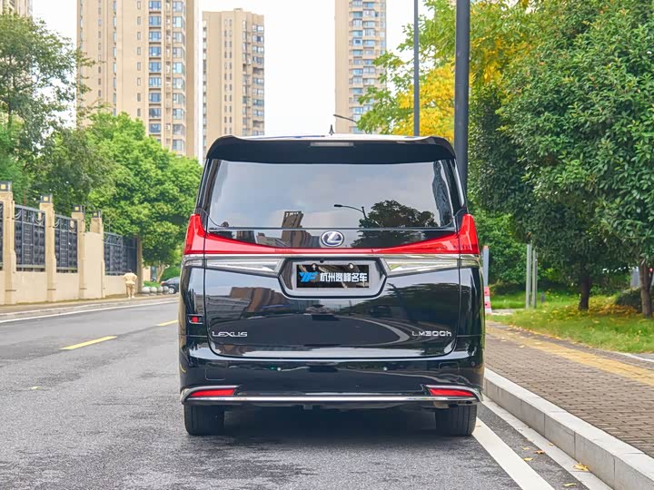 Фото 8 - Lexus LM