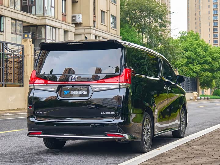Фото 9 - Lexus LM
