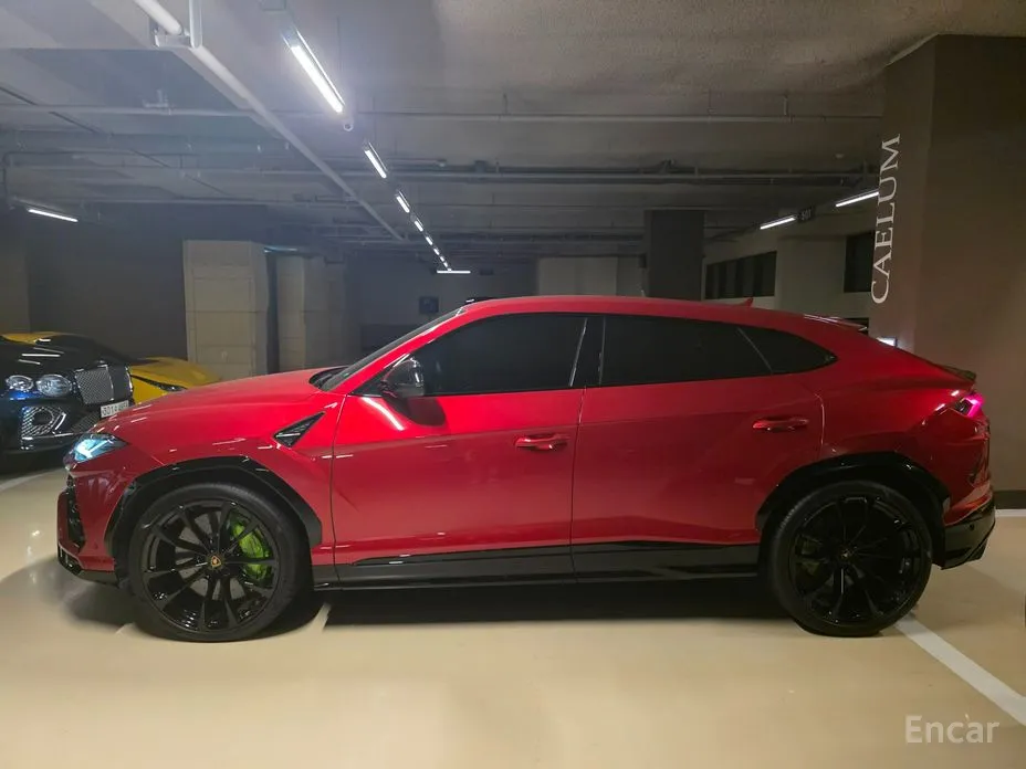Фото 3 - Lamborghini Urus