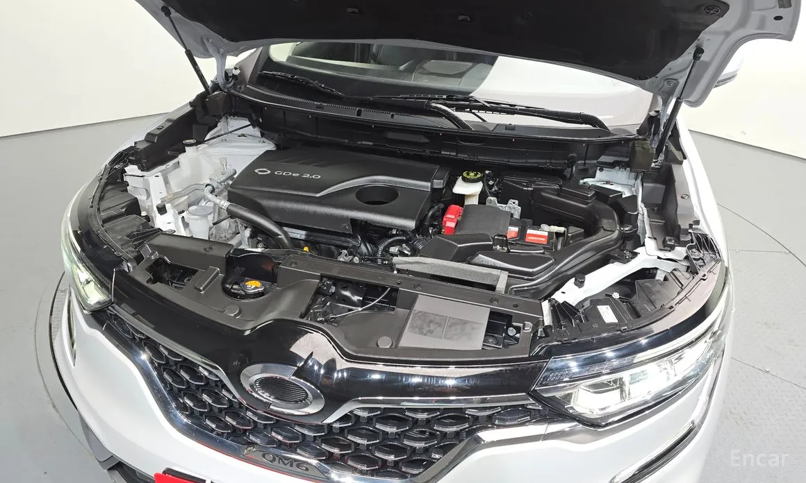 Фото 6 - Renault QM6