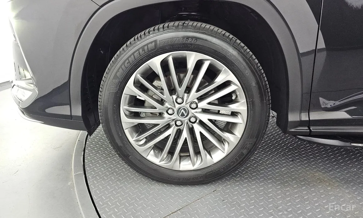 Фото 5 - Lexus RX