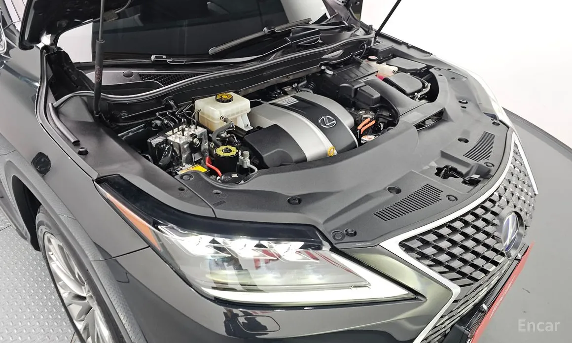 Фото 6 - Lexus RX