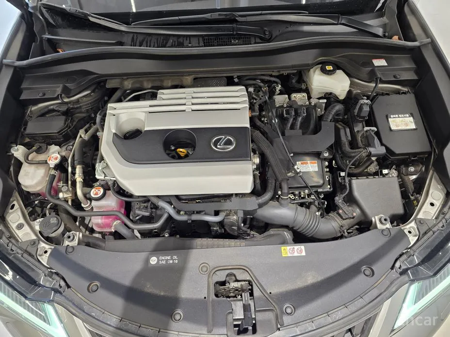 Фото 6 - Lexus UX