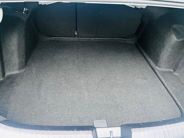 Фото 18 - Volkswagen Sagitar L