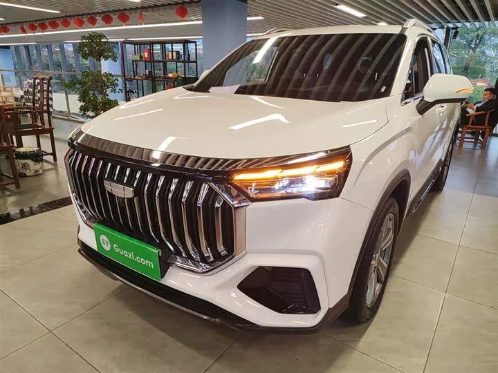 Фото 2 - Geely Okavango L