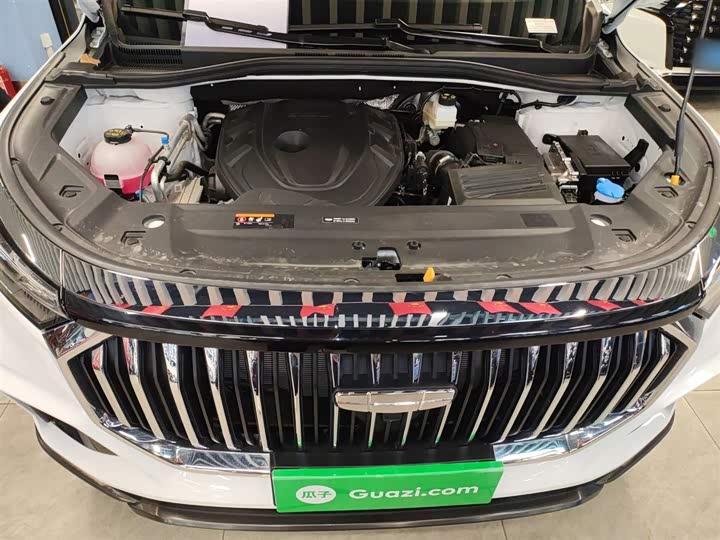 Фото 20 - Geely Okavango L