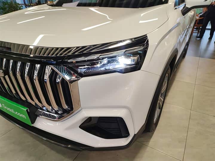 Фото 24 - Geely Okavango L