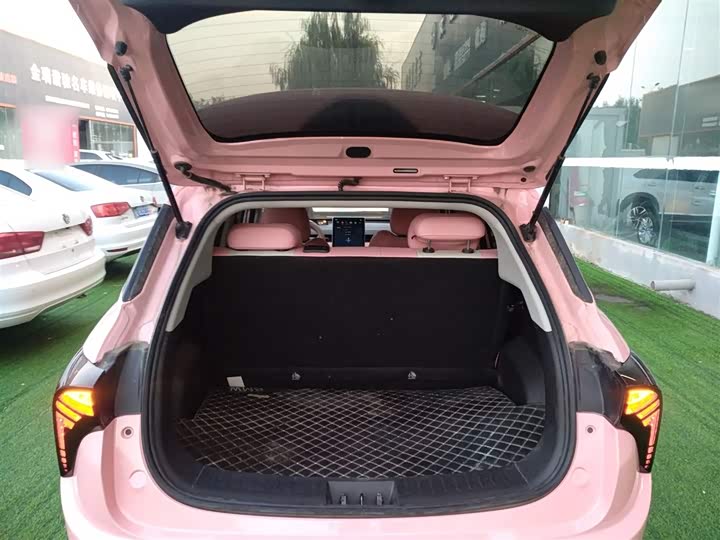 Фото 19 - Hozon V