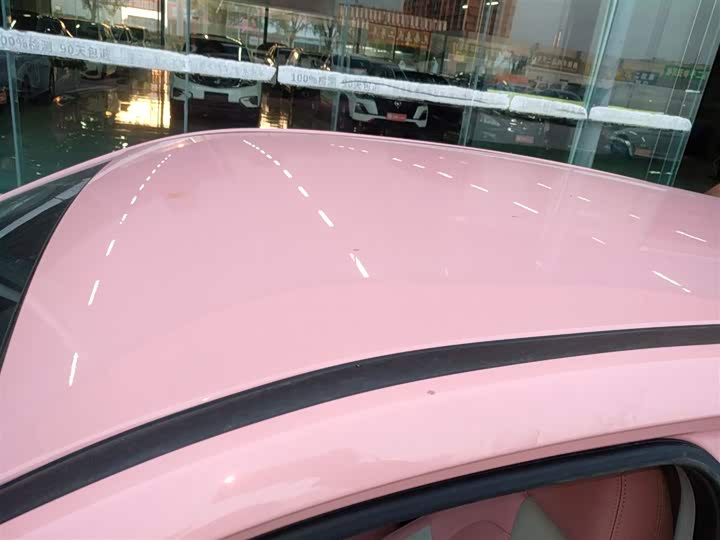 Фото 27 - Hozon V