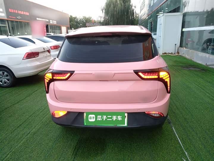 Фото 6 - Hozon V