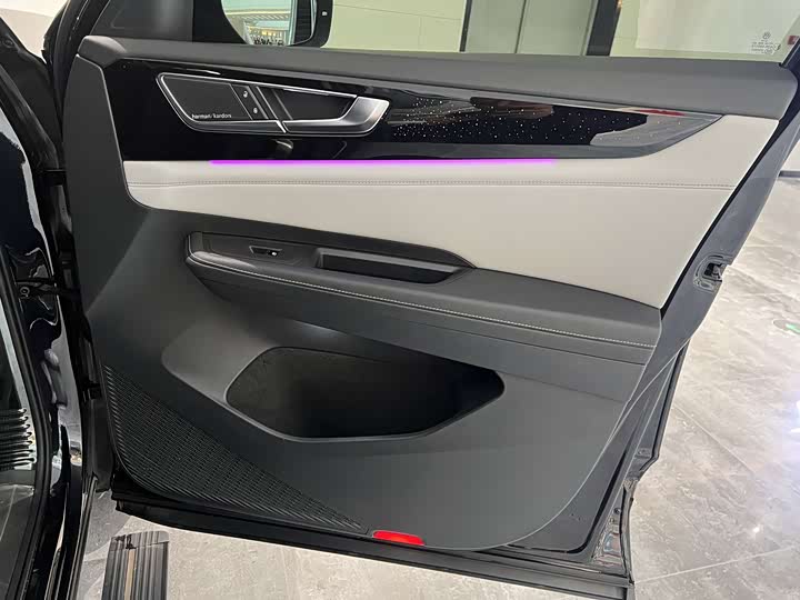 Фото 10 - Volkswagen Teramont Pro