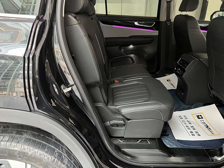 Фото 14 - Volkswagen Teramont Pro