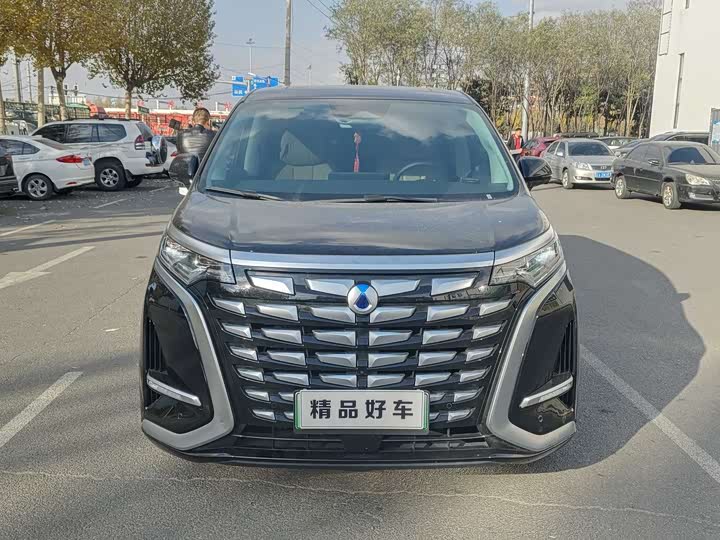 Фото 1 - Denza D9