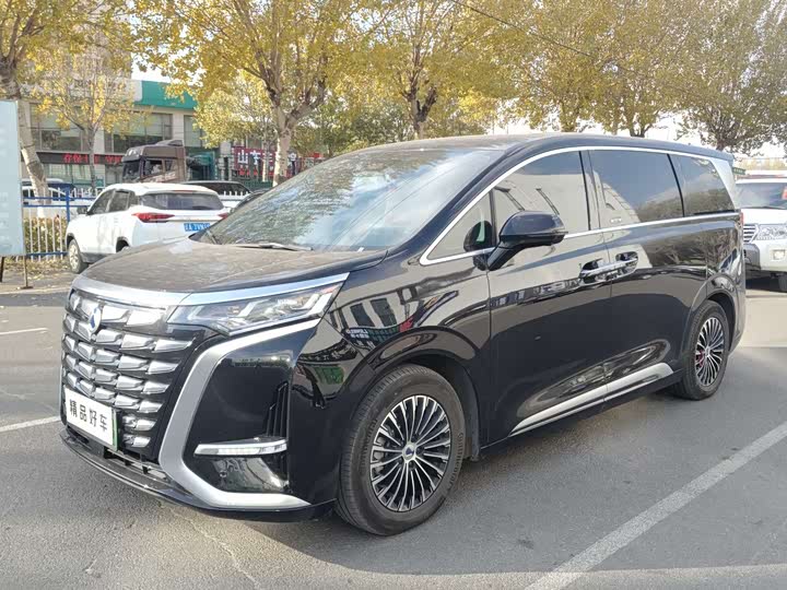 Фото 2 - Denza D9